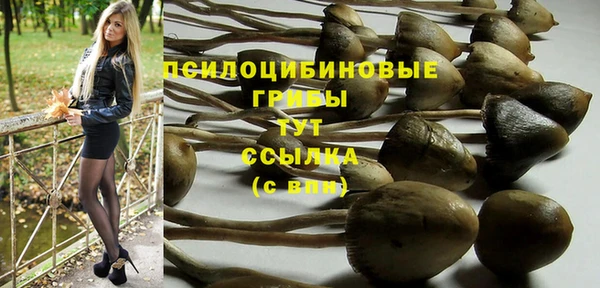 соль ск Алексин