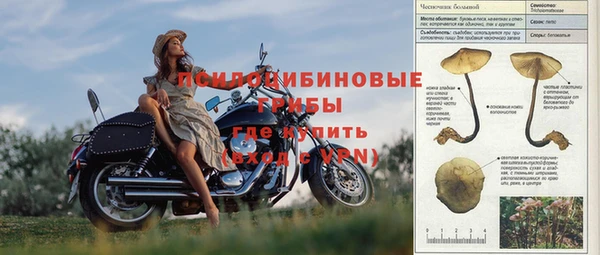 марихуана Абаза