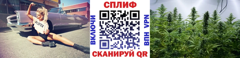 Канабис план  Нюрба 